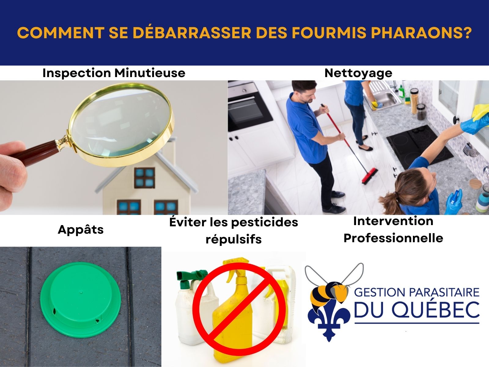 Comment se débarrasser des fourmis pharaons?
Inspection minutieuse
Nettoyage approfondi
Traitement par appâts
Éviter l'usage de pesticides communs
Intervention professionnelle